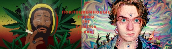 ALPHA PVP Переславль-Залесский