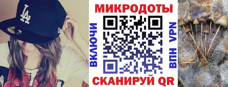Псилоцибиновые грибы Psilocybine cubensis  Лакинск 